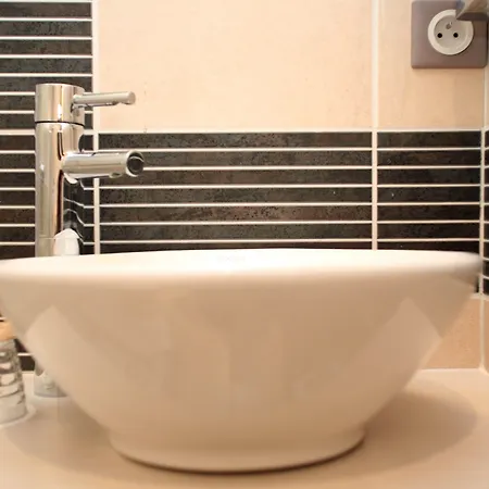 Du Dauphin Lyon